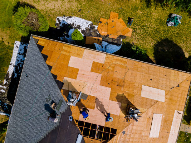 Best Roof Gutter Cleaning  in Wahese, NC